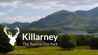 Visit Killarney  Official Destination Video [upl. by Nylekoorb961]