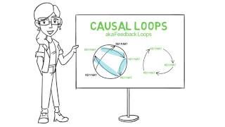 Introduction to Causal Loops [upl. by Thaddus]