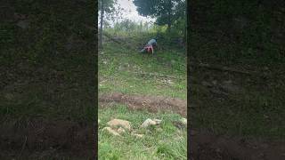 Hill climb fail [upl. by Halimak]