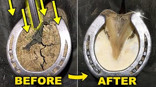 Horse Hoof Deep Clean  Satisfying Restoration  Farrier ASMR [upl. by Arlyne]