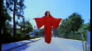 The Breeders  Divine Hammer Official Video [upl. by Evilo]