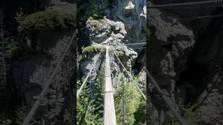 via ferrata bridge in France 🇫🇷 viaferrata france mountains [upl. by Eelarbed]