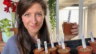 Sowing Chilli Seeds  Tips Grow Lights and Set Up  Homegrown Garden [upl. by Satsok934]