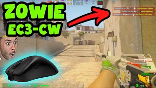 HIGHLIGHTS  ZOWIE EC3CW THE BEST GAMING MOUSE top tier [upl. by Oidualc]