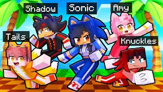 10 Friends on one SONIC BLOCK [upl. by Sonnie602]