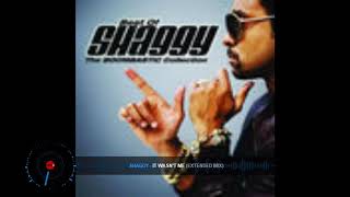 Shaggy  It Wasnt Me DJ Markkinhos Extended Version [upl. by Nanci100]