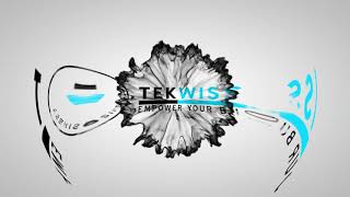 TekWissen Group Logo Animation [upl. by Suirtemed]