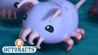 Octonauts  The Sea Pigs  Season 3  Full Episodes  Cartoons for Kids [upl. by Ayotas]