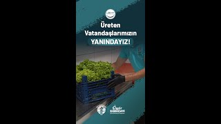 Şile Belediyemiz Üreten Vatandaşlarımızın Yanında [upl. by Annola]