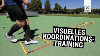 Visuelles Koordinationstraining  Neue innovative Übungen mit der Koordinationsleiter  Vorschau [upl. by Torr]