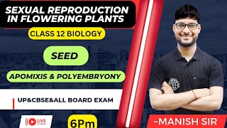 Seed  Apomixis amp Polyembryony  Sexual Reproduction in Flowering Plant  NCERT  BIOLOGY [upl. by Fredette]