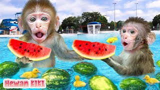 Monyet Hewan berenang di kolam yang penuh dengan Semangka  Kartun Monyet Lucu  Hewan KIKI Channel [upl. by Aseral117]