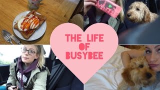 The life of Busybee  food diary amp my dog [upl. by Kcirrem]