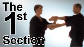 Wing Tsun 1st Chi Sau Section [upl. by Vikky]