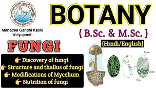 General Characteristics of FungiMyceliumHyphae Modification of MyceliumBSc 1st year BotanyFungi [upl. by Nerhtak426]