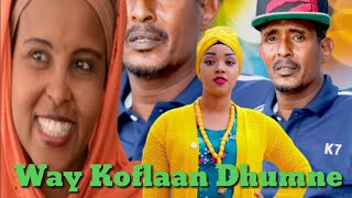 Comedy Afaan Oromoo Koflaan Garaa Nama Dhukkubsu SAFUU [upl. by Troc853]