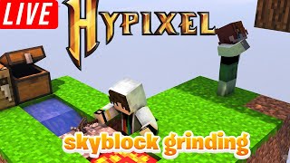 Hypixel Skyblock building and grinding  cmds  hypixelskyblock [upl. by Abdella]