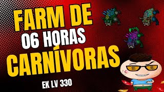 Tibia  Profit nas Carnívoras surpreende em 06 horas [upl. by Damiano]