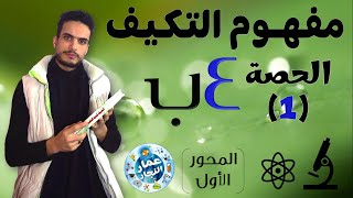 مفهوم التكيف  الحصة 1  الرابع الابتدائي  ترم أول 2025 [upl. by Giacopo]