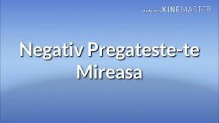 Negativ Pregatestete Mireasa [upl. by Edda]