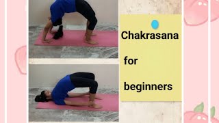 Chakrasana for beginners [upl. by Terza134]