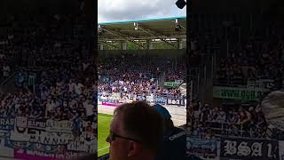 Waldhof Mannheim 🔵⚫👊🏼 waldhofmannheim ultras support fangesänge [upl. by Siriso984]