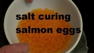 SALT CURE SALMON EGGS RECIPE [upl. by Katina]