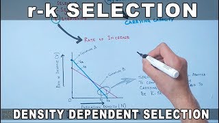 400 PM  CSIR UGC NET 2020  Life Science by Kumkum Gautam  Population Growth with PYQs [upl. by Nayve]