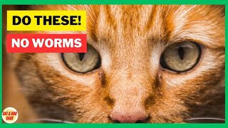 Treating Cat Worms at Home and Getting Rid of Worms  Cat Worming  Cat Grooming [upl. by Werdma848]