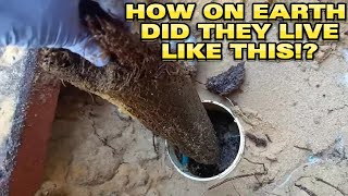 I was speechless when I saw what was living inside this Blocked Drain [upl. by Aicenet]