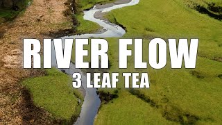 RIVER FLOW  3 Leaf Tea  Music Video [upl. by Crutcher]