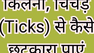 गाय भैंस में किलनी या चिचड़ से छुटकारा पाने के लिए सबसे असरदार उपाय shorts [upl. by Yenahc]