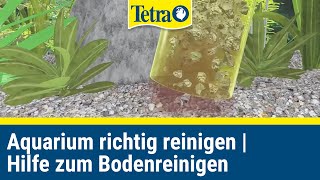 Aquarium richtig reinigen  Schnelle Hilfe zum bodenreinigen [upl. by Bobinette]