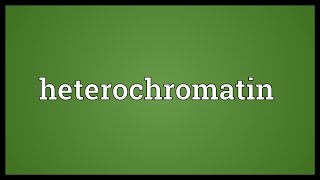 Heterochromatin Meaning [upl. by Enelegna]