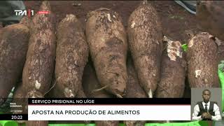 Serviço prisional no Uíge  aposta na produção de alimentos [upl. by Onitnevuj]