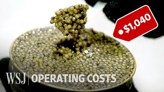 How to Run a 10 Million Caviar Farm  WSJ Operating Costs [upl. by Crellen]