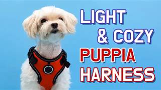 PUPPIA US Harness Introduction  F Style [upl. by Iuqcaj]