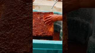 How to expand cocopeat brick shorts ytshortsindia cocopeat gardening nature terracegardning [upl. by Nnyliak]