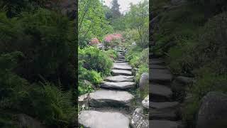 Beautiful Walk path in Cragside northumberland england uk [upl. by Yance628]