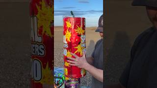 SPECIAL 16000 FIREWORK ROLL Shorts Fireworks [upl. by Ixela852]