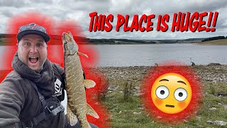 Pike Fishing on Derwent Reservoir The Most Beautiful Place Ive Ever Fished [upl. by Pier]