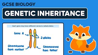 Genetic Inheritance  GCSE Biology [upl. by Sergent]