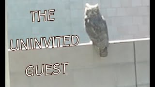 The Uninvited guest [upl. by Nebur]