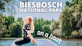 Biesbosch national park boat tour 🚤 Location prices amp beautiful views  Netherlands travel vlog [upl. by Swan]