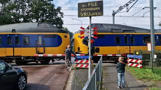 Spoorwegovergang Assen Pelikaanstraat  Dutch Railroad Crossing [upl. by Ellard]