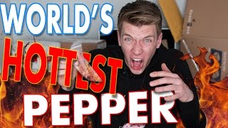 Tasting WORLDS HOTTEST PEPPER Challenge  Collins Key Taste Testing [upl. by Nnalyrehc157]