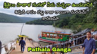 Pathala Ganga Srisailam  పాతాళ గంగలో స్నానం చేస్తే అన్ని పాపలుదోషాలు తొలిగిపోతావి EvrTravelVlogs [upl. by Pincas]