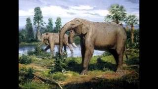 Top 10 Prehistoric Mammal Herbivores [upl. by Kind]