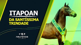 Itapoan da Santíssima Trindade Campeão Nacional [upl. by Pennie425]