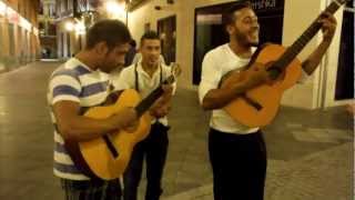 Los muchachos gitanos nos cantan en Sevilla [upl. by Koss]